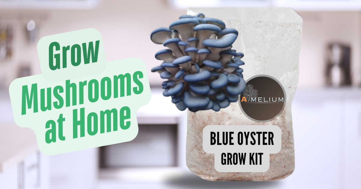 How to Fruit our Grow Kits at Home